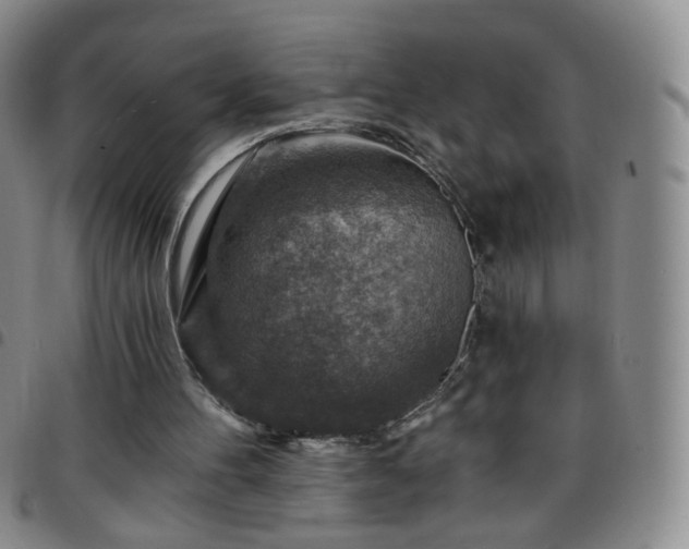 X0000097770100200803141754