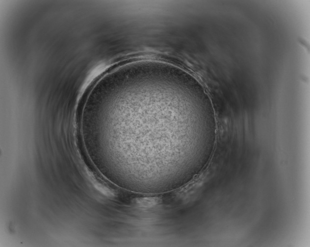 X0000097770102200803141754
