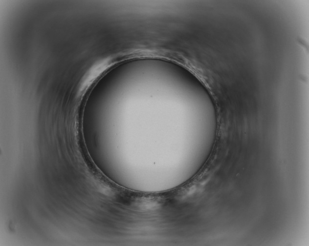 X0000097770103200803141754