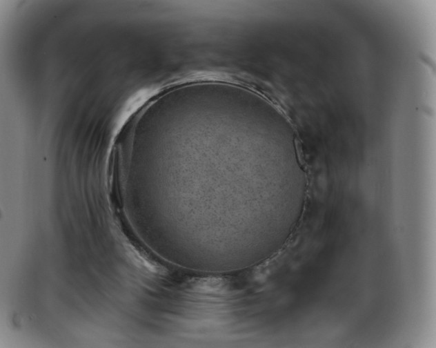 X0000097770104200803141754