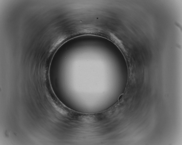 X0000097770106200803141754