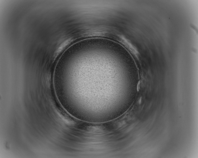 X0000097770107200803141754