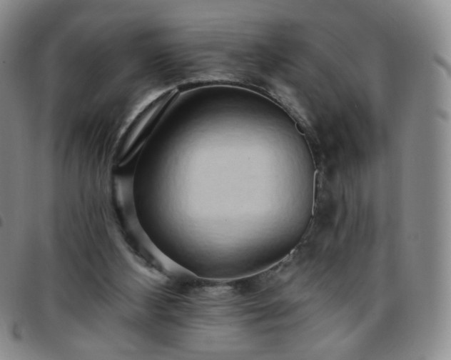 X0000097770108200803141754