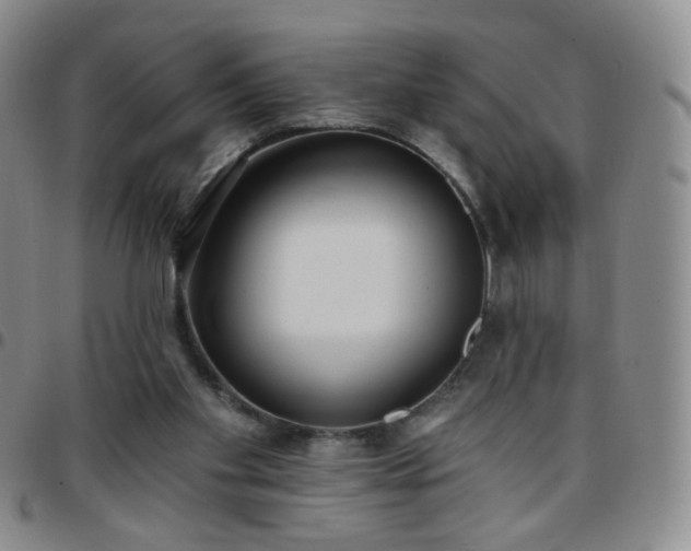 X0000097770109200803141754