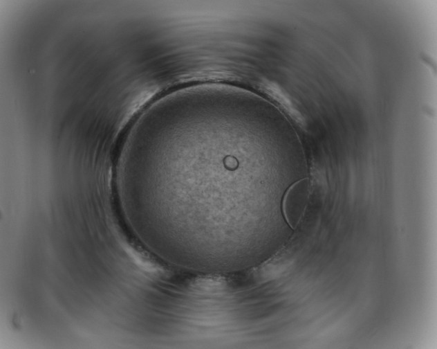 X0000097770110200803141754