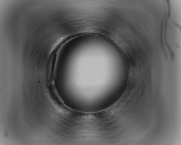 X0000097770112200803141754