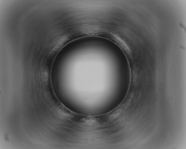 X0000097770113200803141754