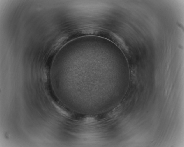 X0000097770114200803141754