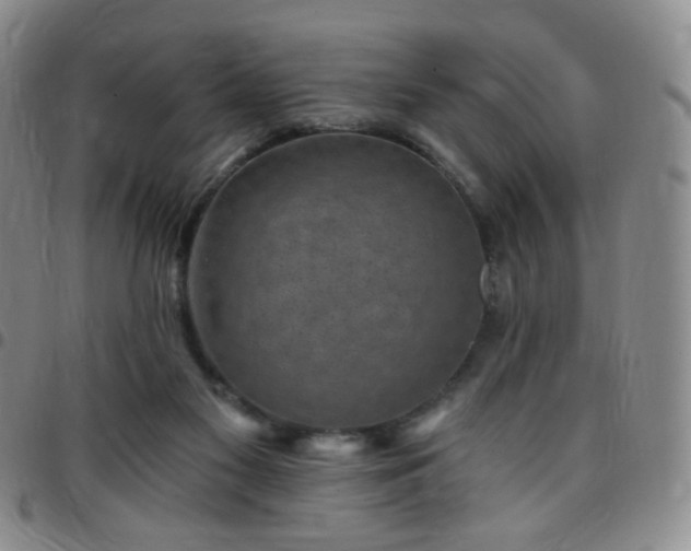 X0000097770117200803141754