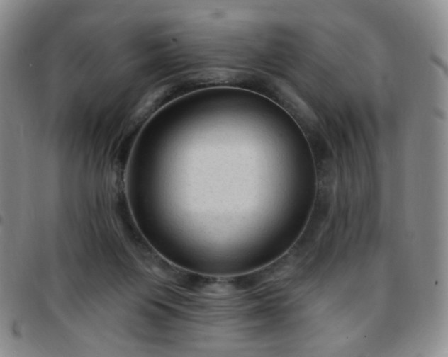 X0000097770119200803141754
