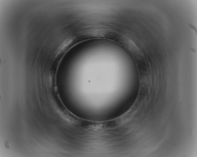 X0000097770120200803141754