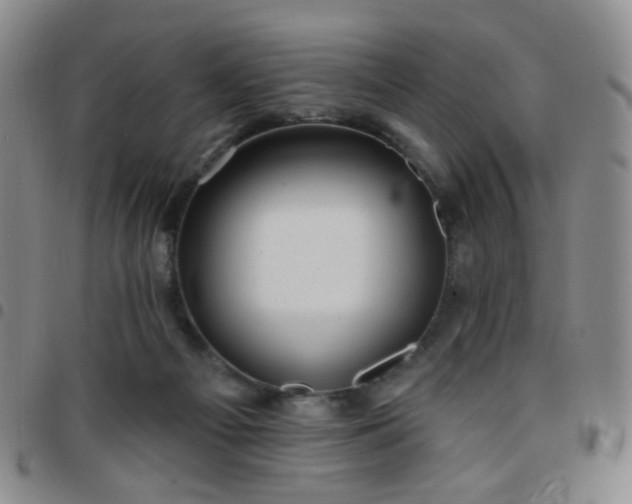 X0000097770121200803141754