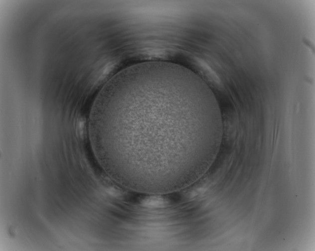 X0000097770123200803141754