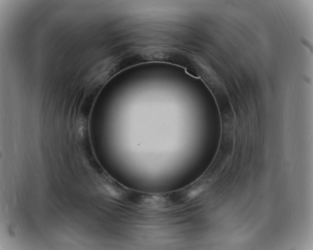 X0000097770125200803141754
