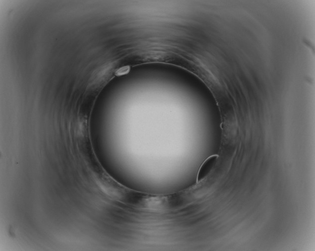 X0000097770126200803141754