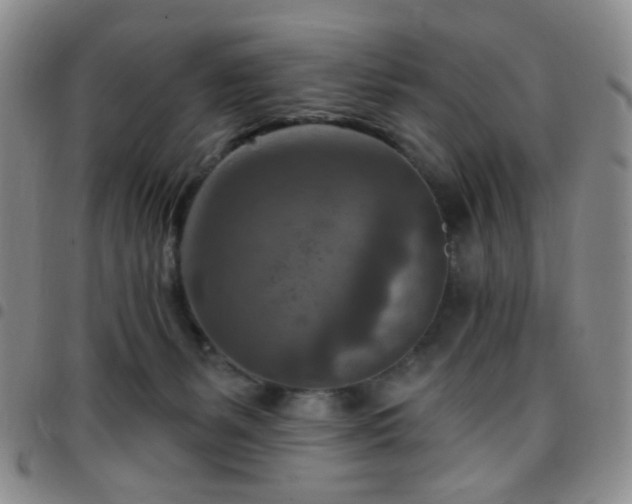 X0000097770127200803141754