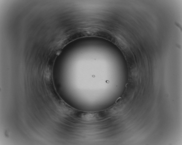 X0000097770129200803141754