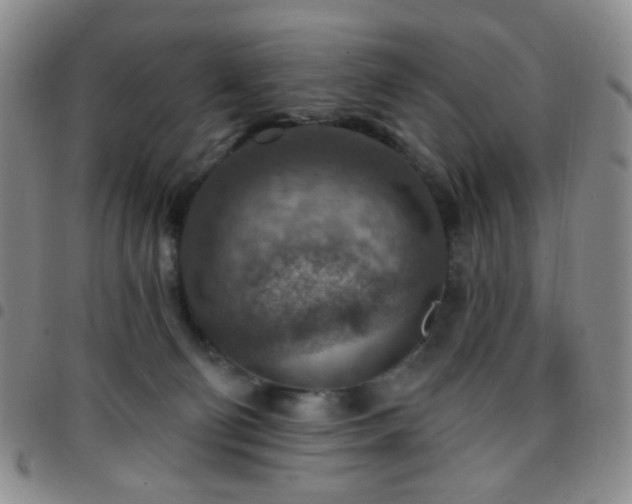 X0000097770130200803141754