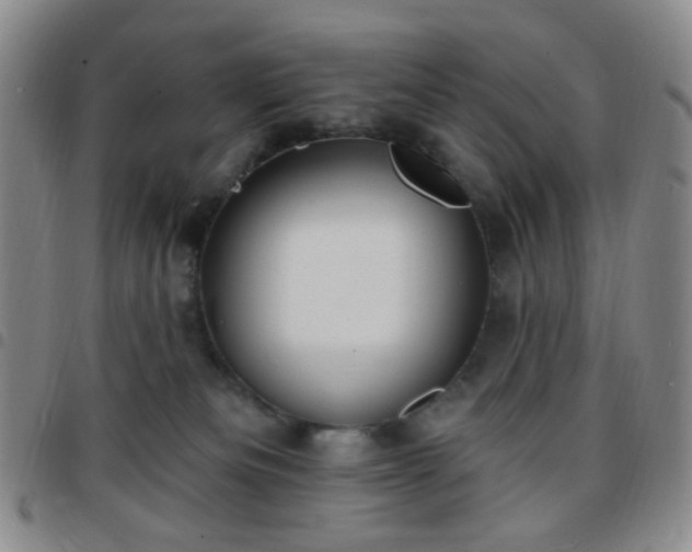 X0000097770133200803141754