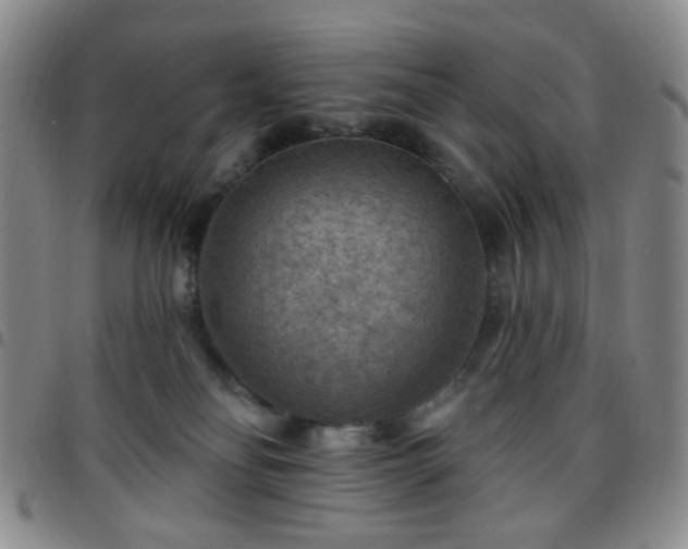 X0000097770134200803141754