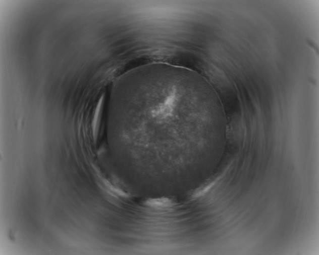 X0000097770137200803141753