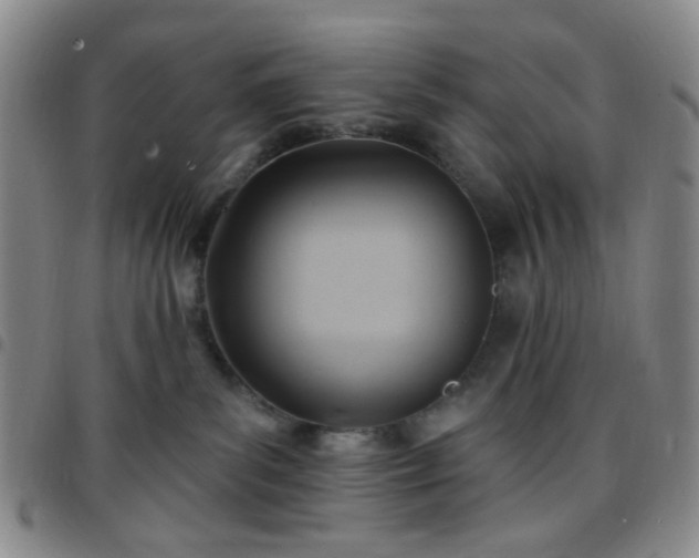 X0000097770139200803141753