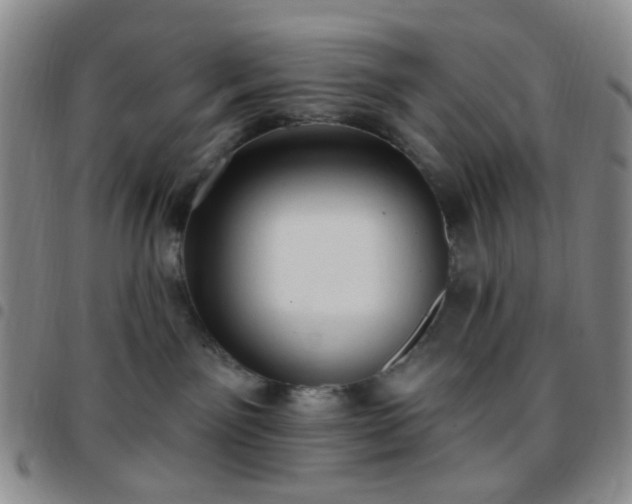 X0000097770141200803141753