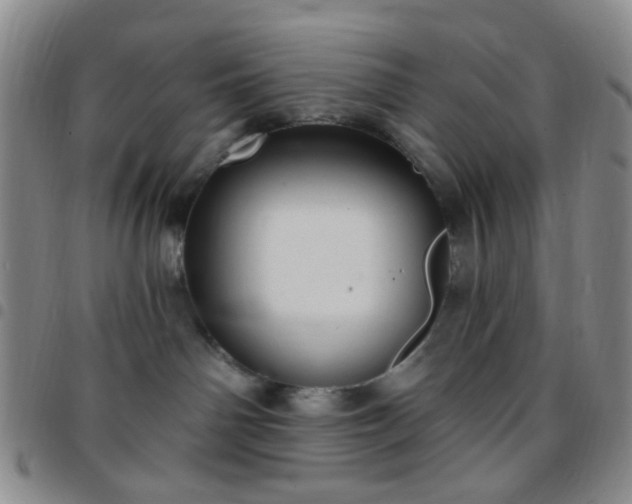 X0000097770142200803141753