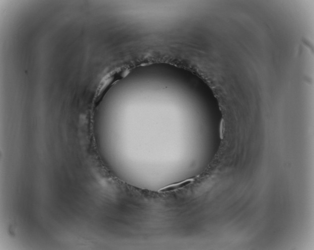 X0000097770144200803141753
