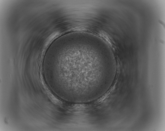 X0000097770145200803141753