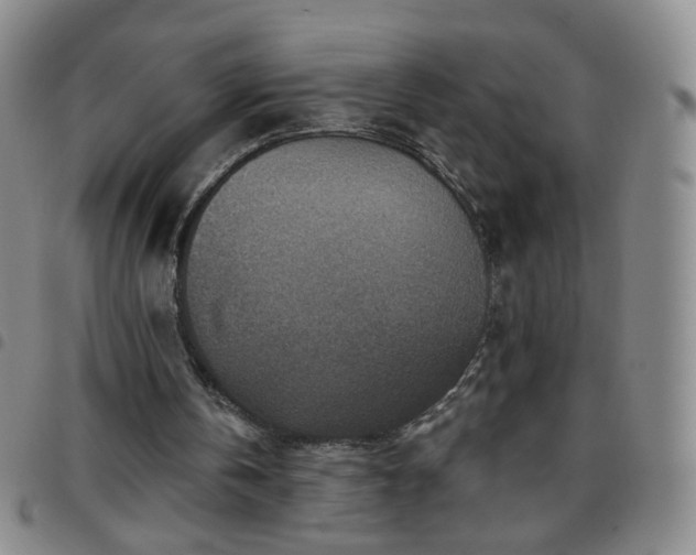 X0000097770146200803141753