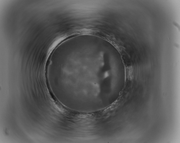 X0000097770147200803141753