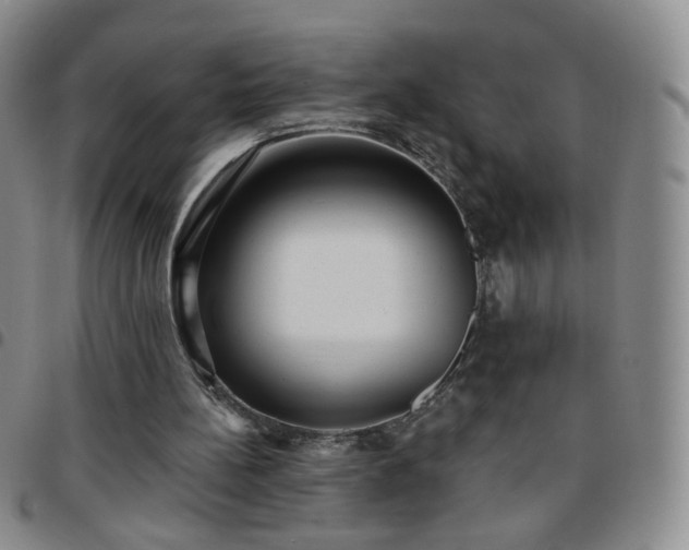X0000097770148200803141753