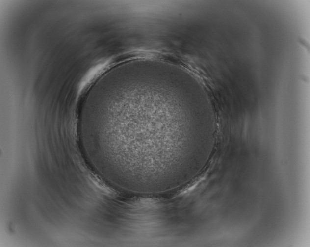 X0000097770149200803141753