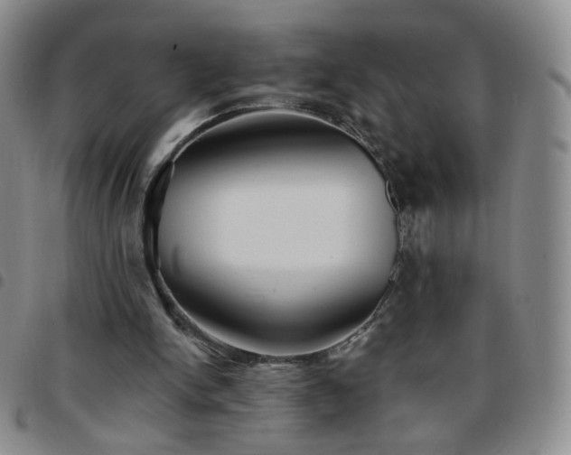 X0000097770150200803141753