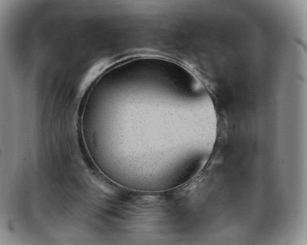 X0000097770151200803141753