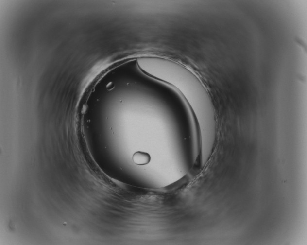 X0000097770152200803141753