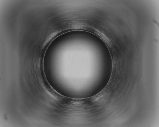 X0000097770155200803141753