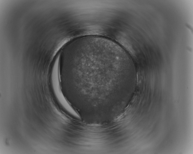 X0000097770156200803141753