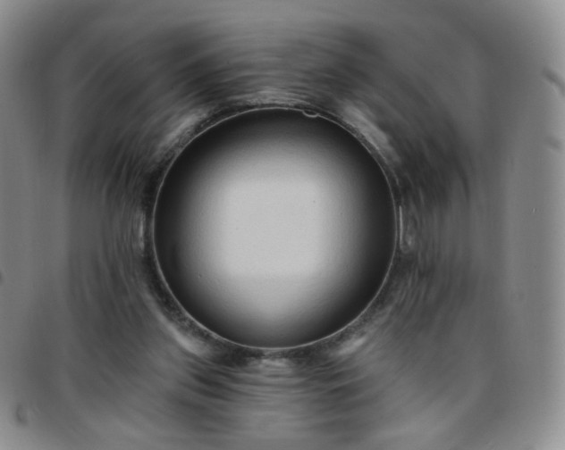 X0000097770157200803141753