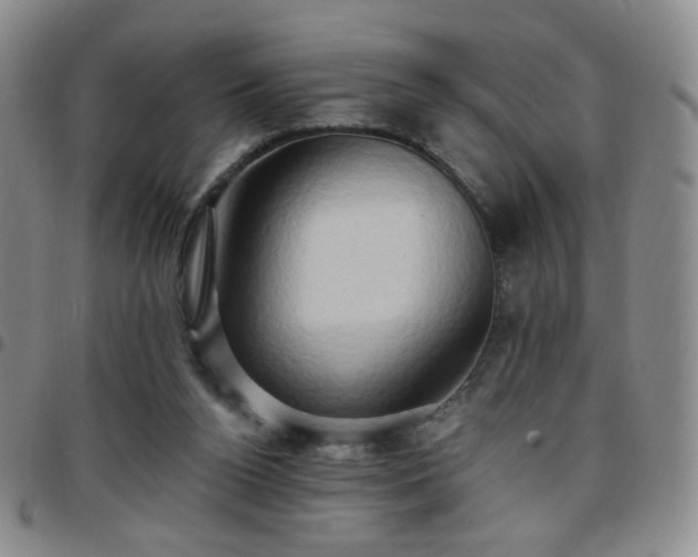X0000097770160200803141753