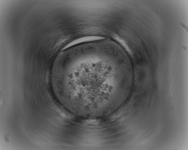 X0000097770161200803141753