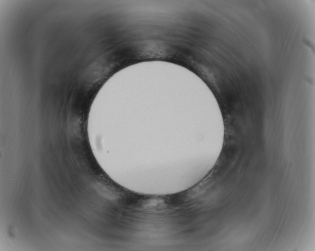 X0000097770162200803141753