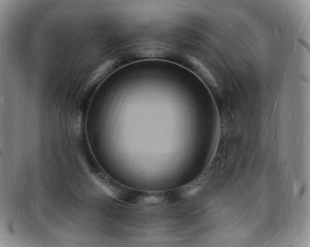 X0000097770163200803141753