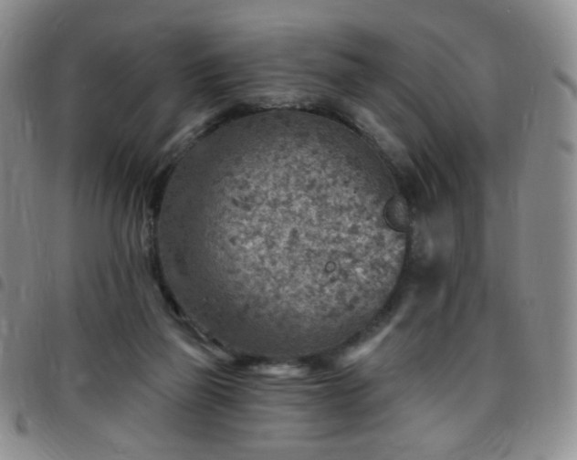 X0000097770165200803141753