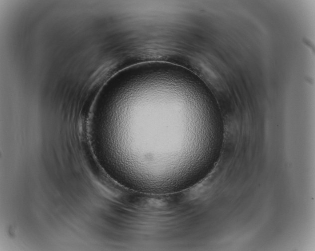X0000097770166200803141753