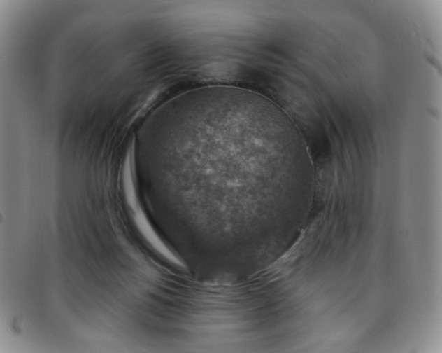 X0000097770168200803141753