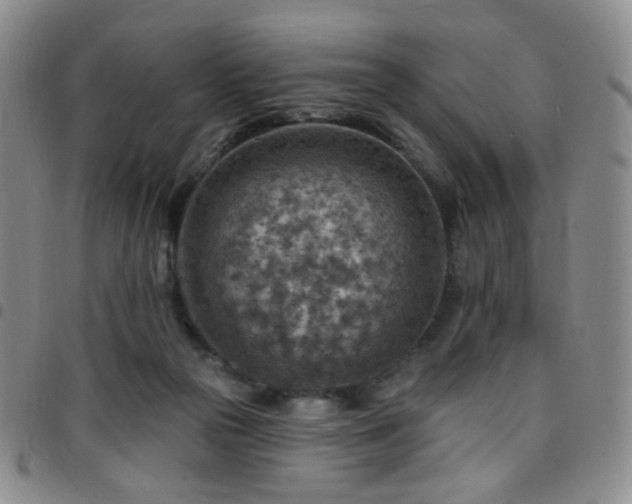 X0000097770169200803141753