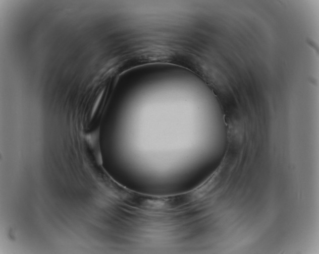 X0000097770170200803141753