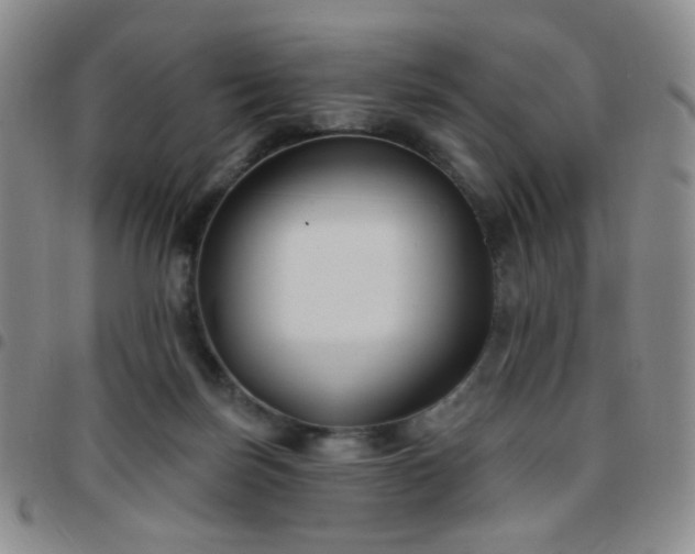 X0000097770171200803141753